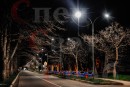 Светодиодное ограждение "Занавес со звездами" 4 х 0,8 м Триколор нити